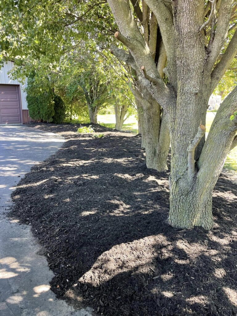 Expert Fence Installation, Repair, and Tree Services in Lafayette, IN | Doin' It Wells | Lafayette Top Soil Delivery