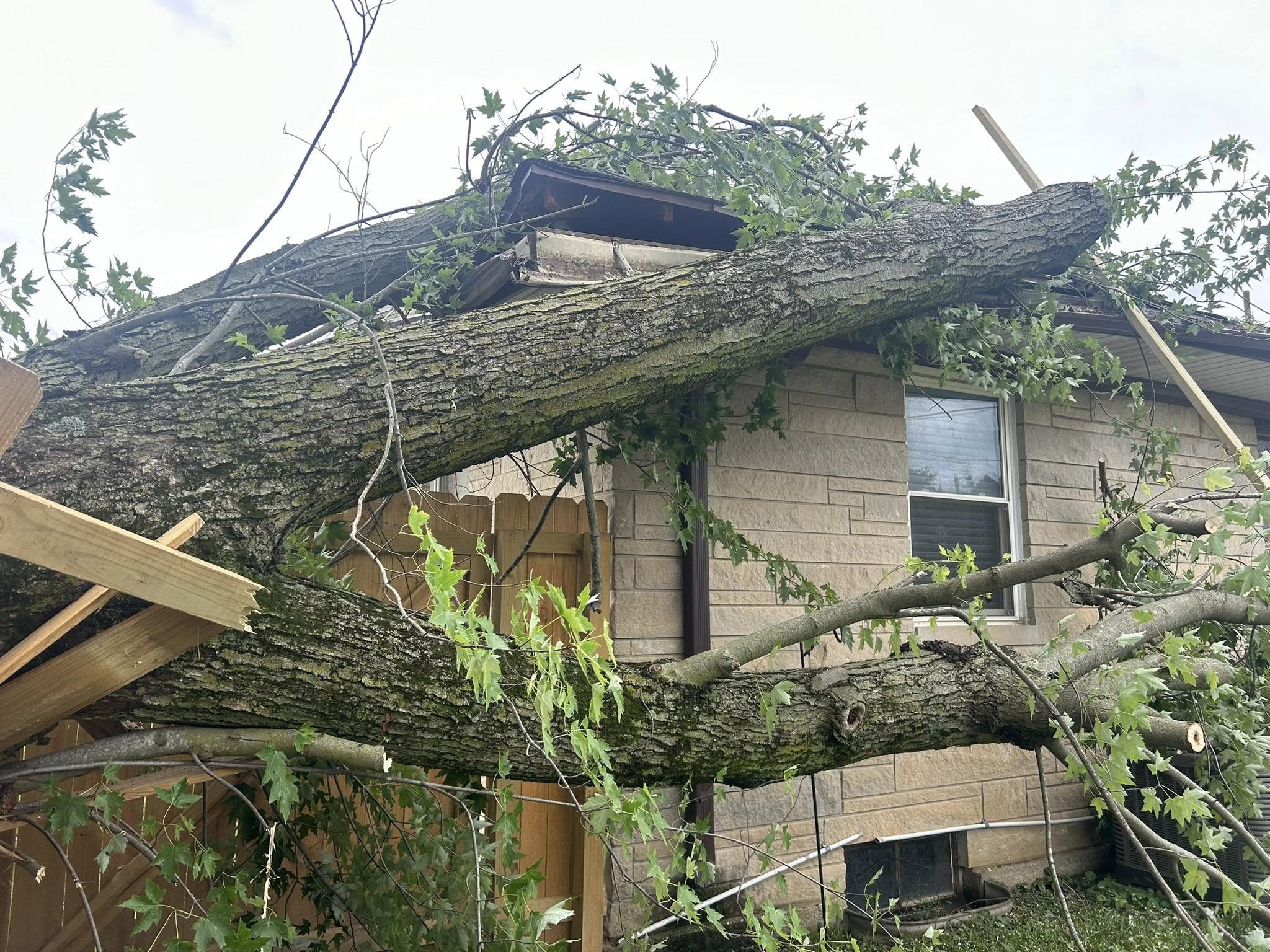 Lafayette Emergency Tree Services | Doin' It Wells